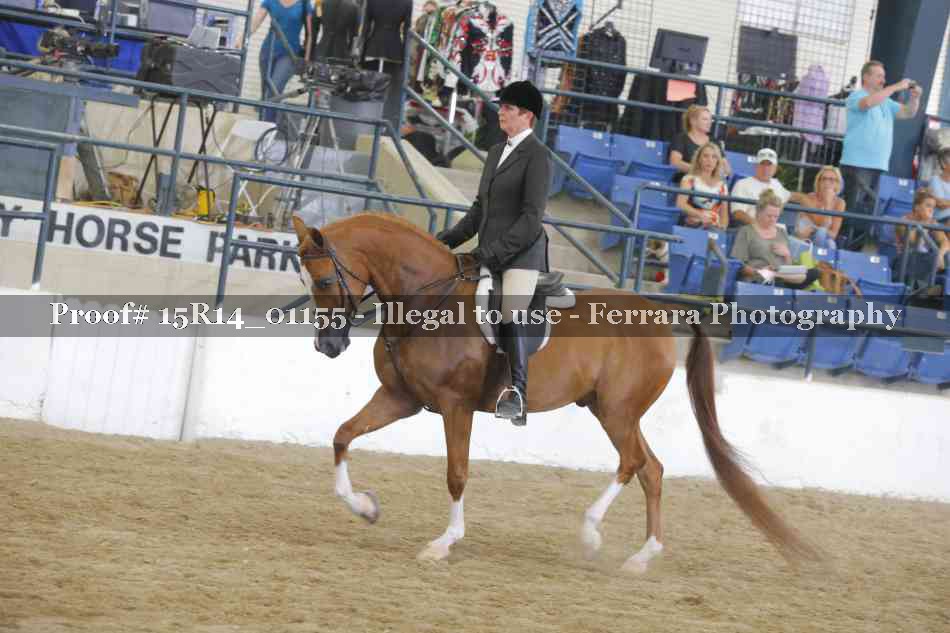 Proof Number 15R14_01155
