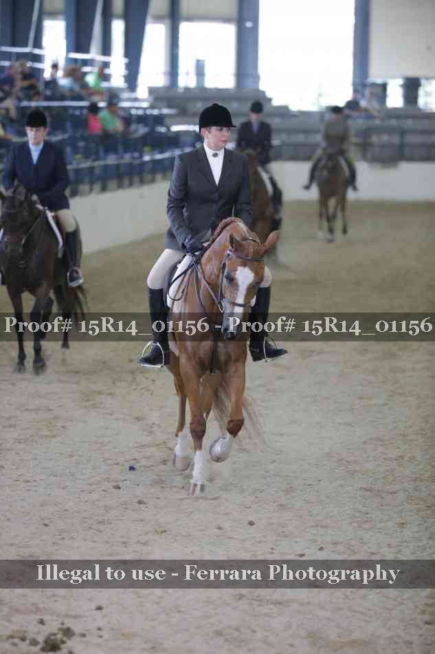 Proof Number 15R14_01156