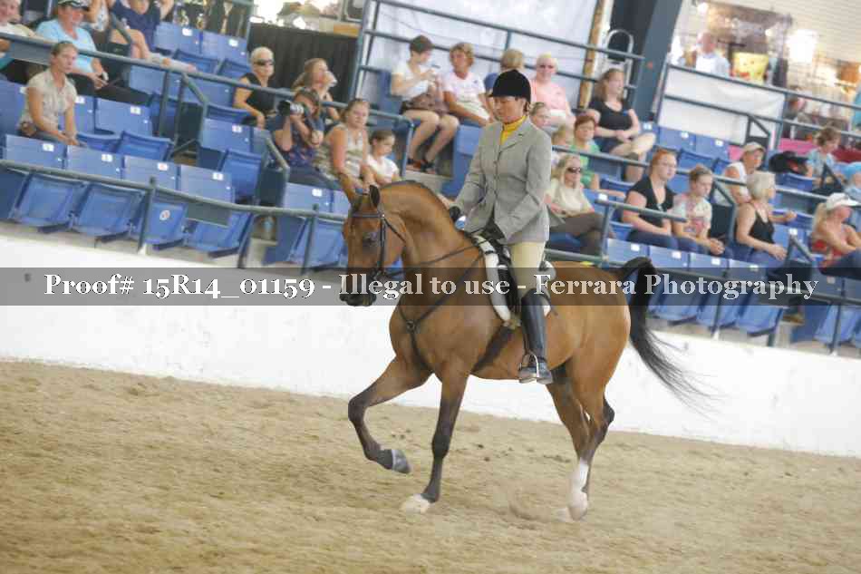 Proof Number 15R14_01159