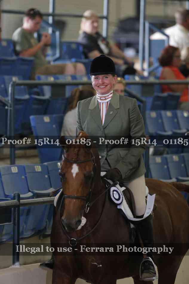 Proof Number 15R14_01185