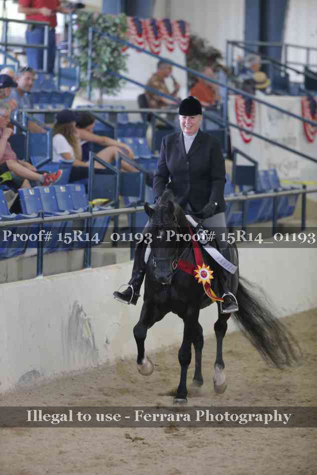 Proof Number 15R14_01193