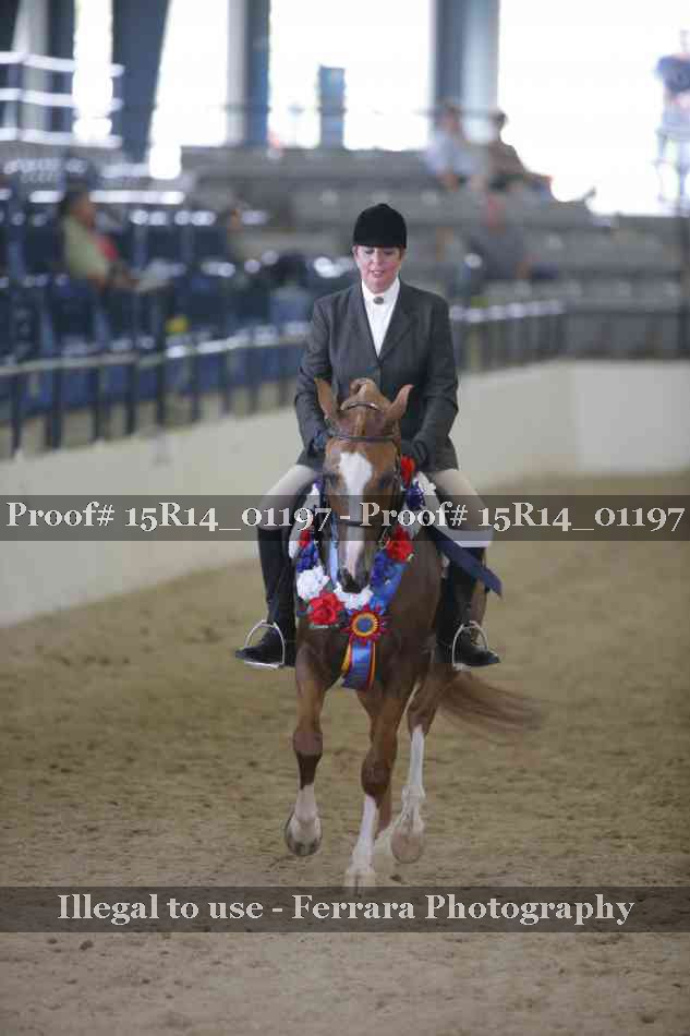 Proof Number 15R14_01197