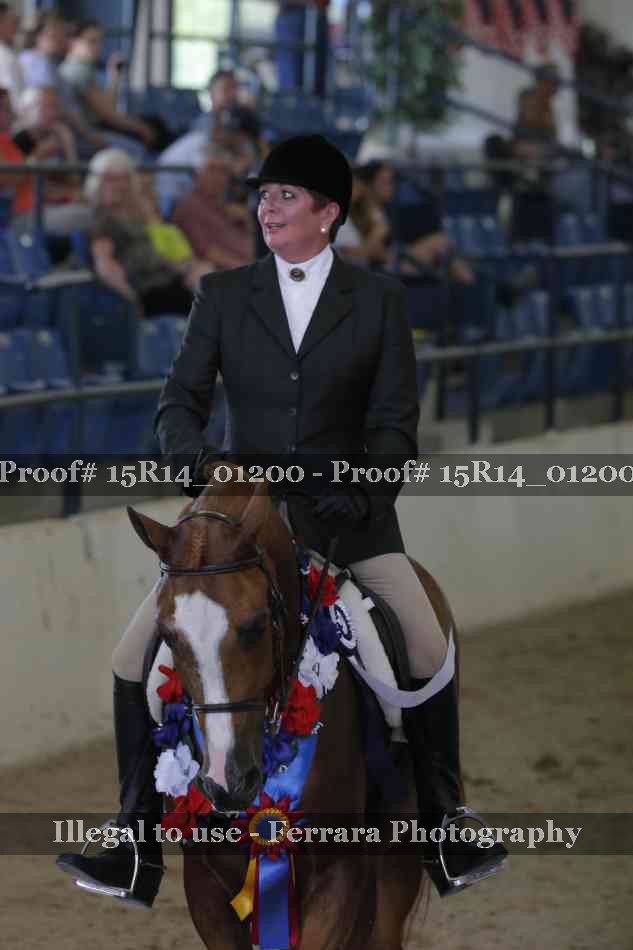 Proof Number 15R14_01200