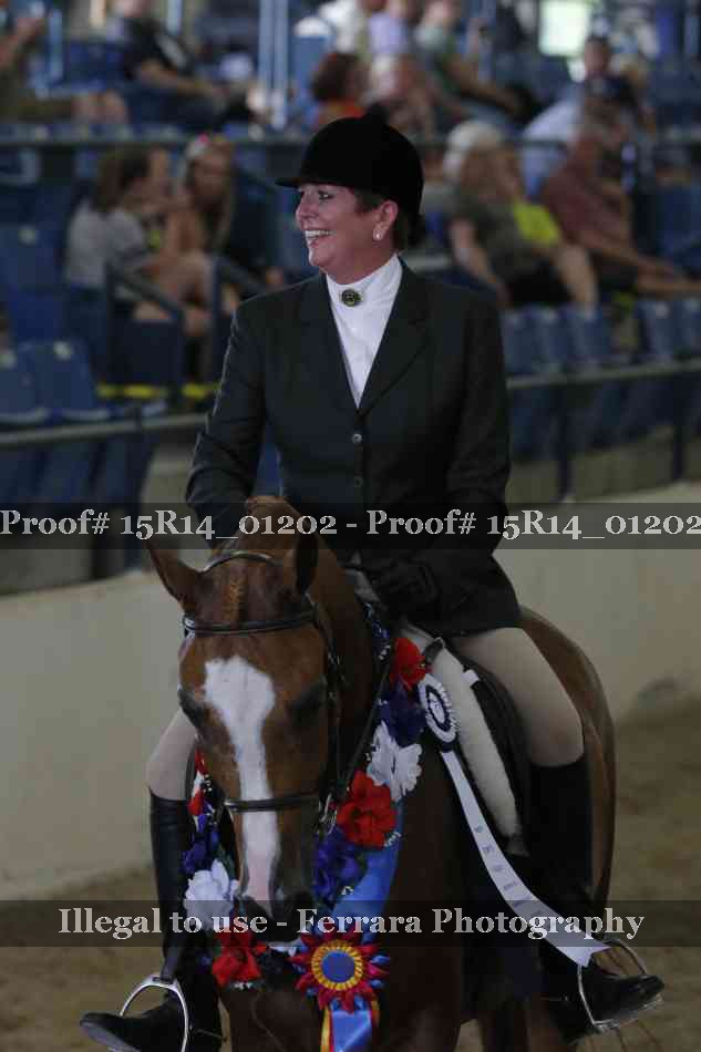 Proof Number 15R14_01202