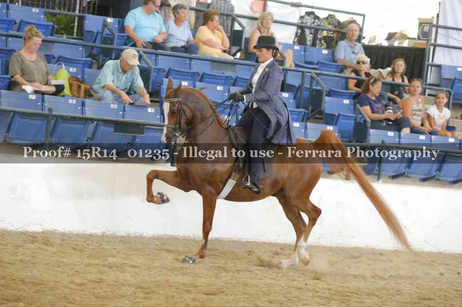 Proof Number 15R14_01235