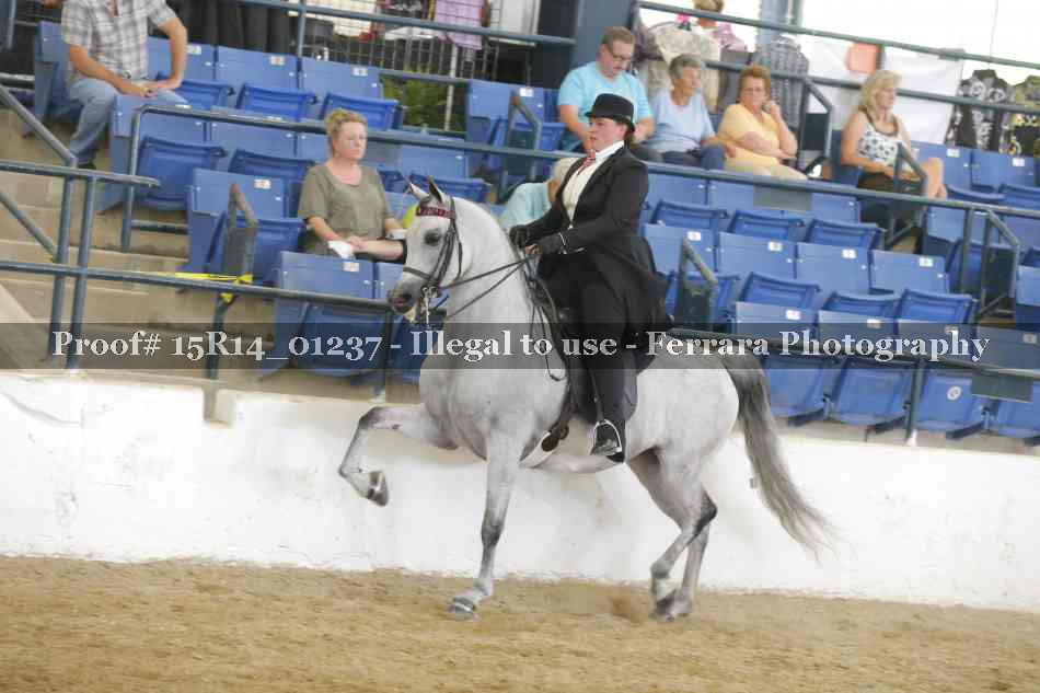 Proof Number 15R14_01237