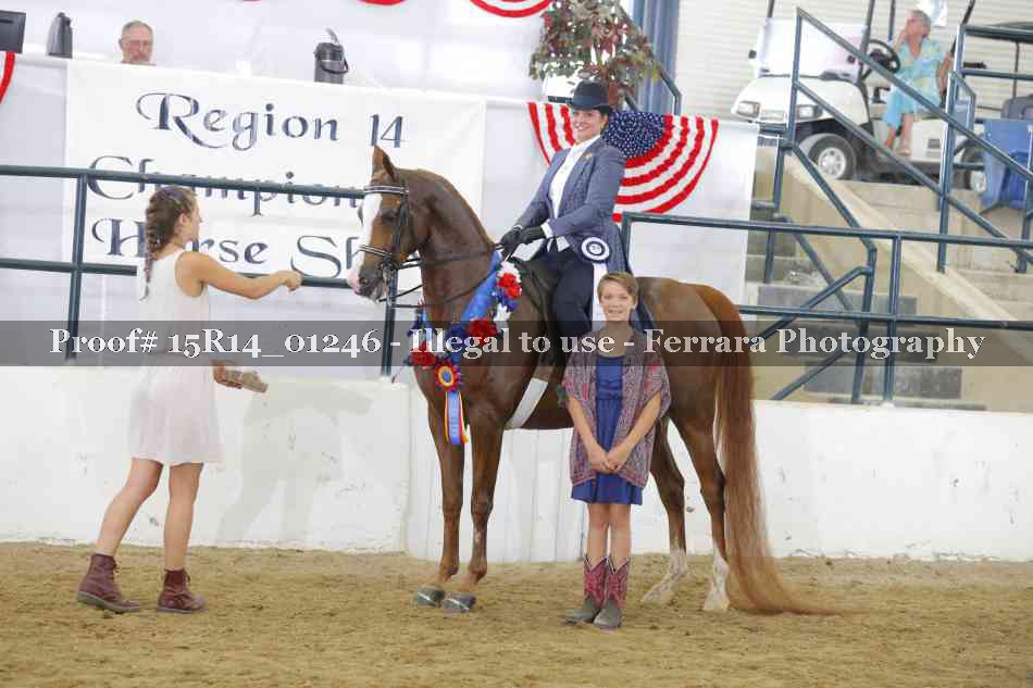 Proof Number 15R14_01246