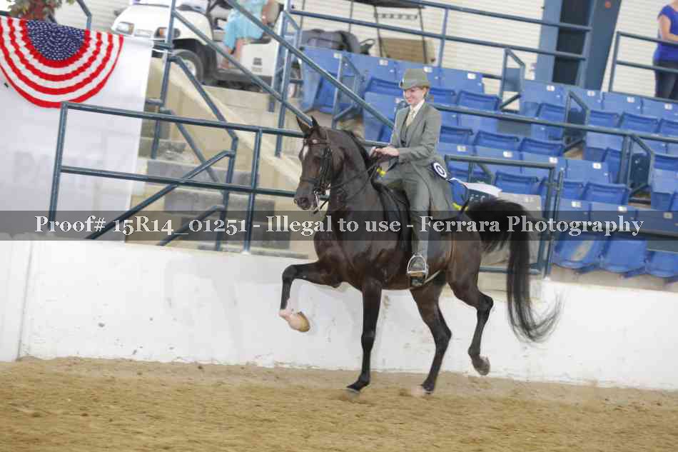 Proof Number 15R14_01251