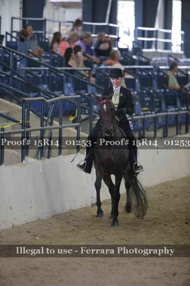 Proof Number 15R14_01253