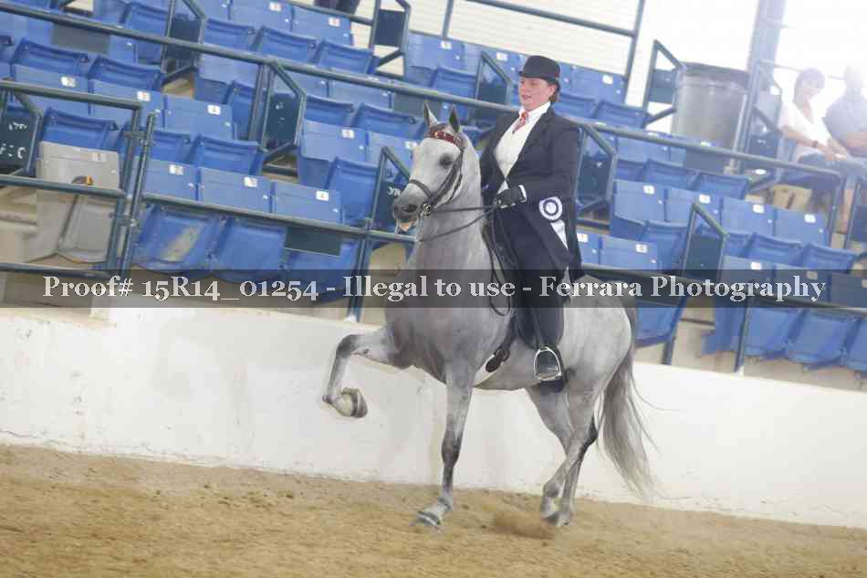 Proof Number 15R14_01254