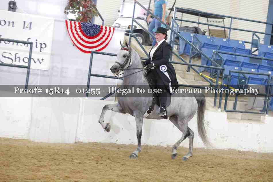 Proof Number 15R14_01255