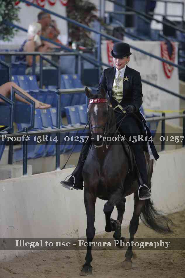 Proof Number 15R14_01257