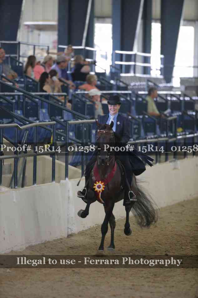 Proof Number 15R14_01258