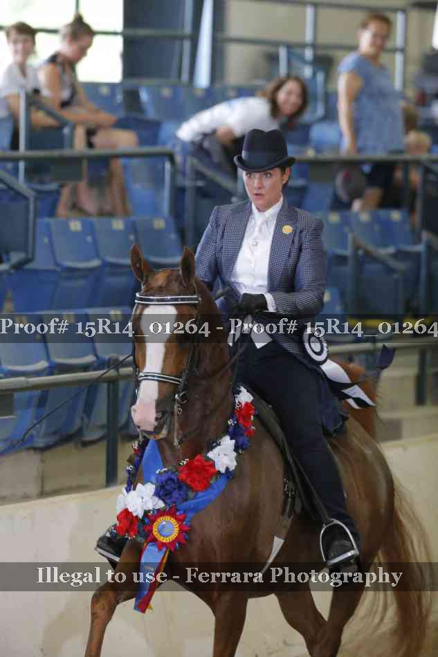 Proof Number 15R14_01264