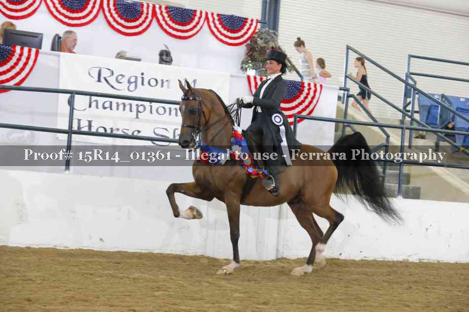 Proof Number 15R14_01361
