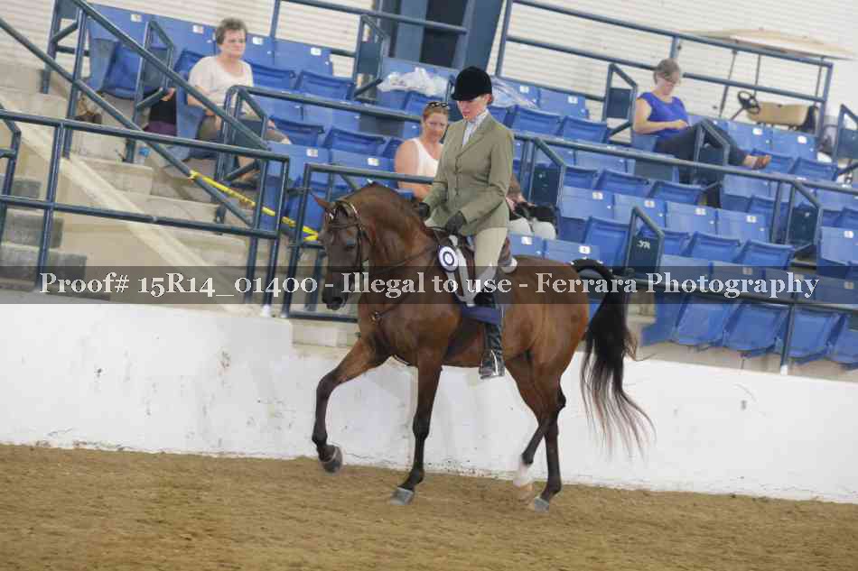 Proof Number 15R14_01400