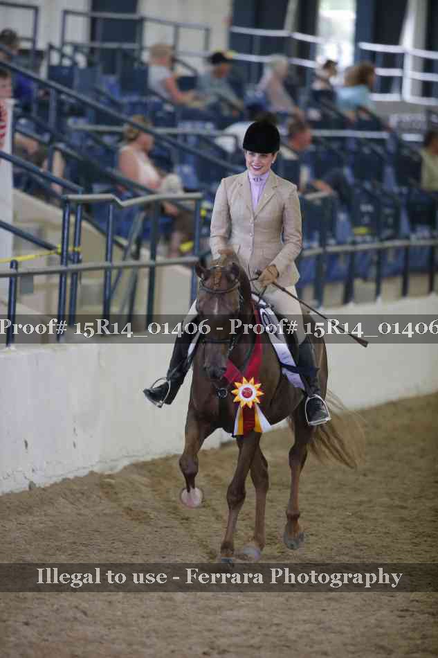 Proof Number 15R14_01406
