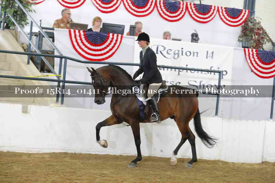 Proof Number 15R14_01411