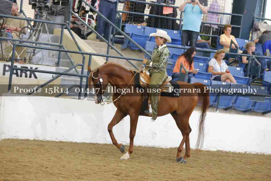 Proof Number 15R14_01447