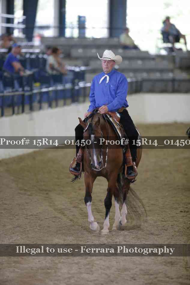 Proof Number 15R14_01450