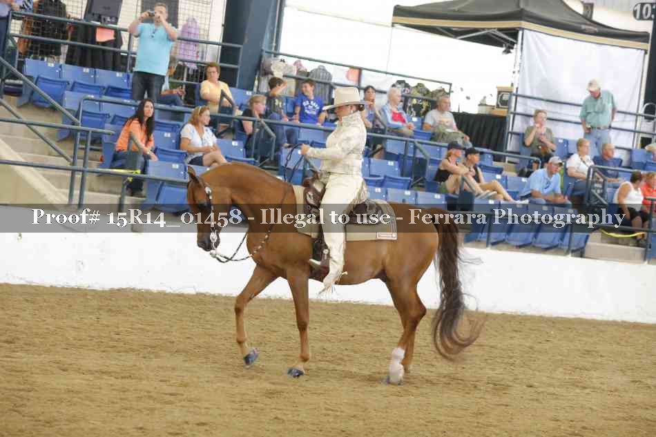 Proof Number 15R14_01458