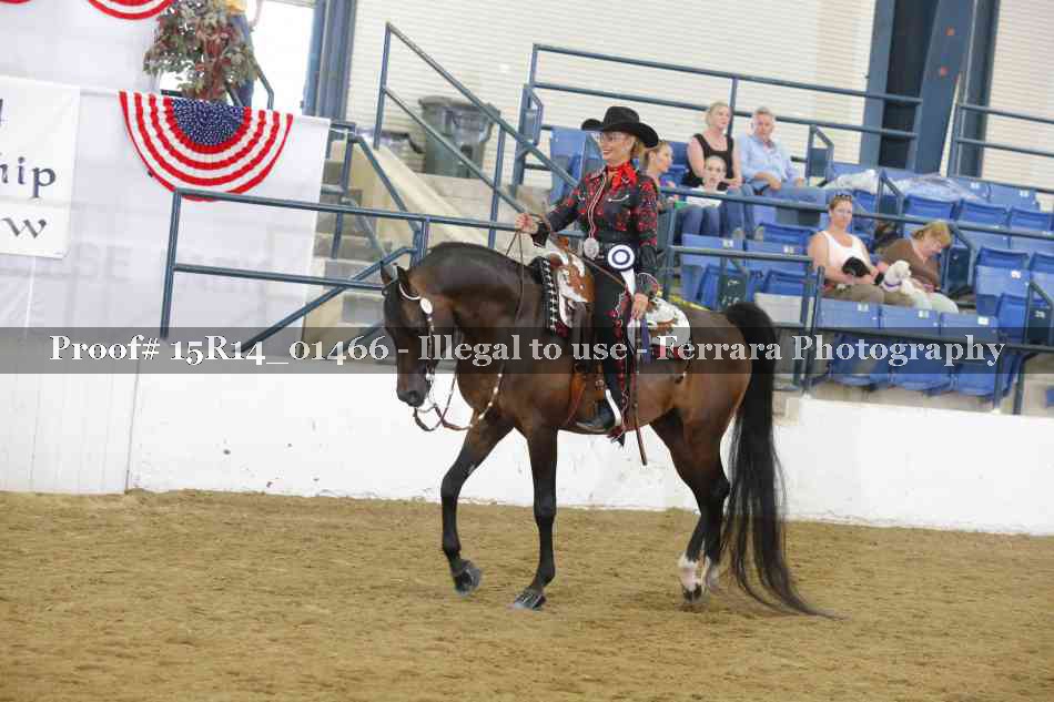 Proof Number 15R14_01466