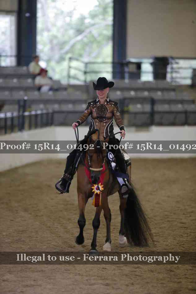 Proof Number 15R14_01492