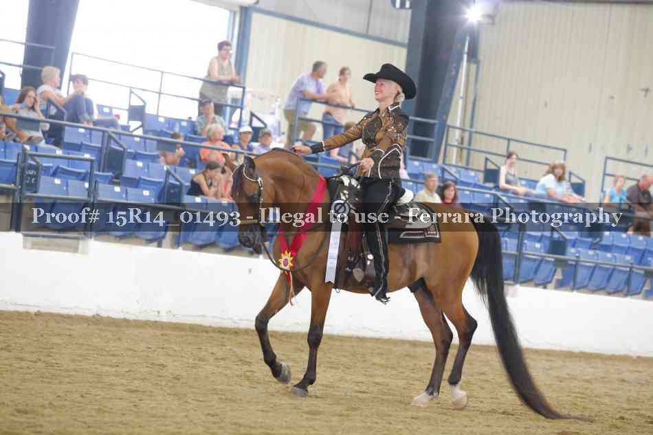 Proof Number 15R14_01493