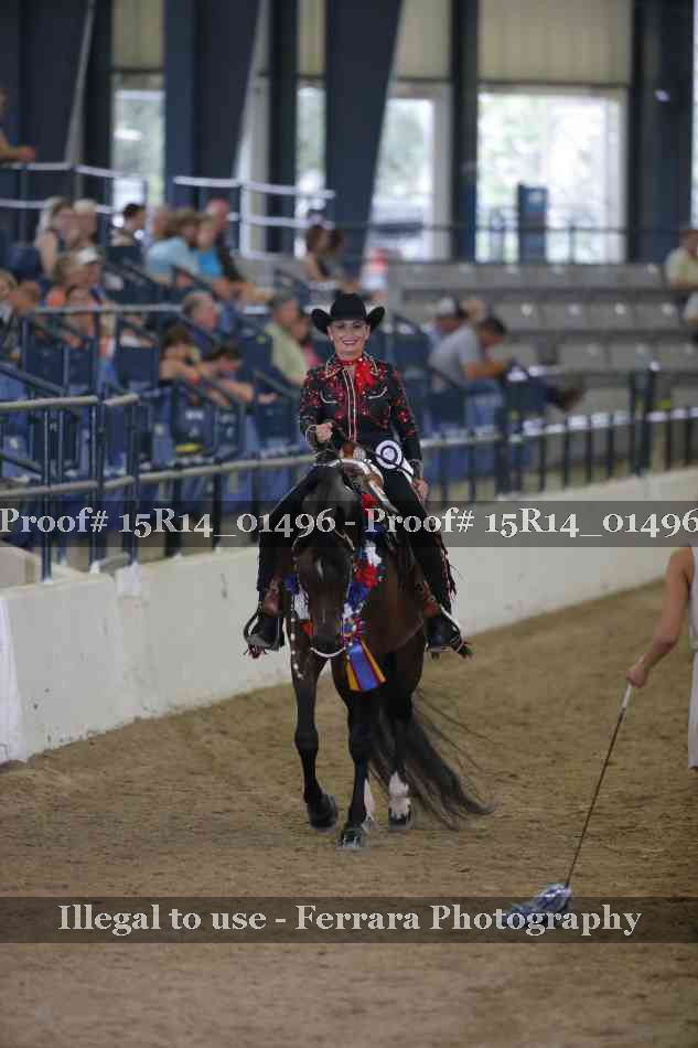 Proof Number 15R14_01496