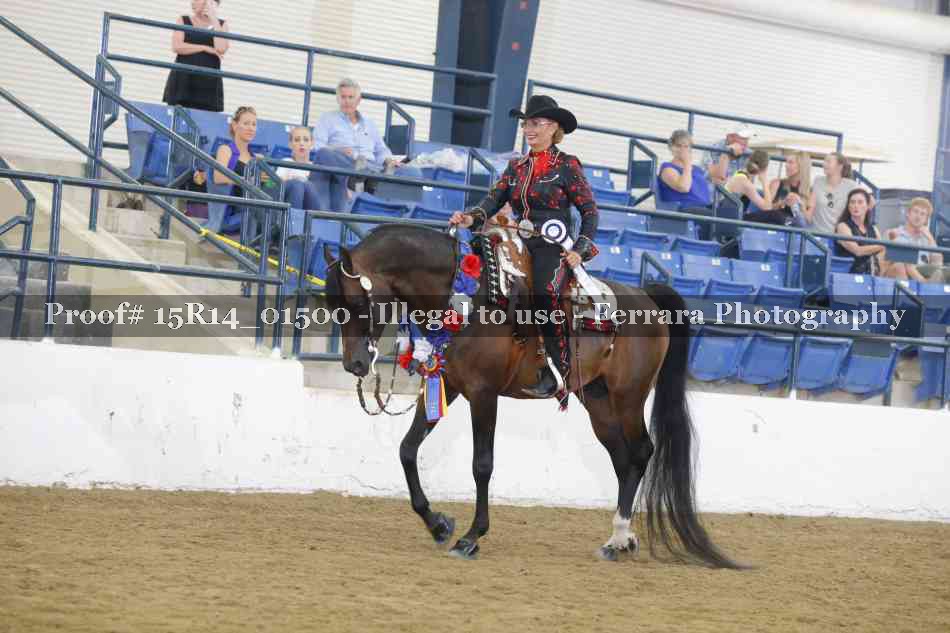 Proof Number 15R14_01500