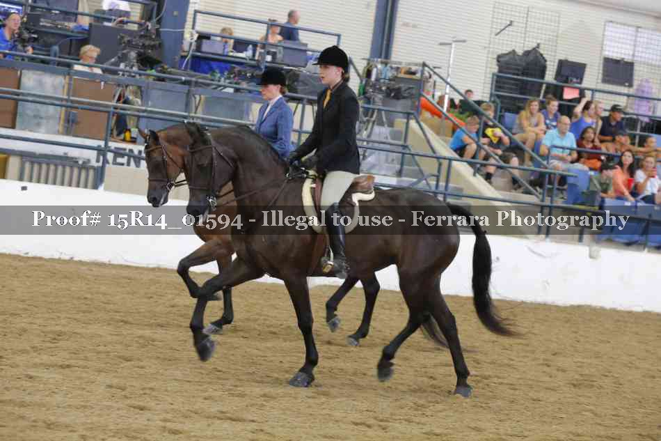Proof Number 15R14_01594