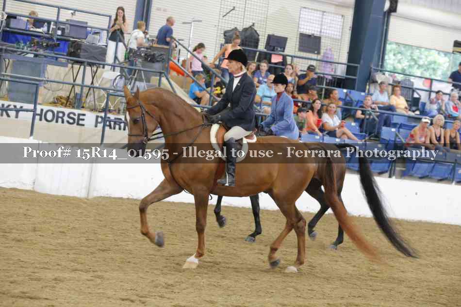 Proof Number 15R14_01595