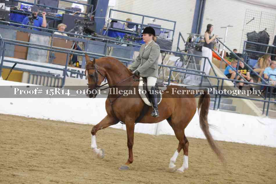 Proof Number 15R14_01601