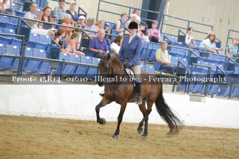 Proof Number 15R14_01610