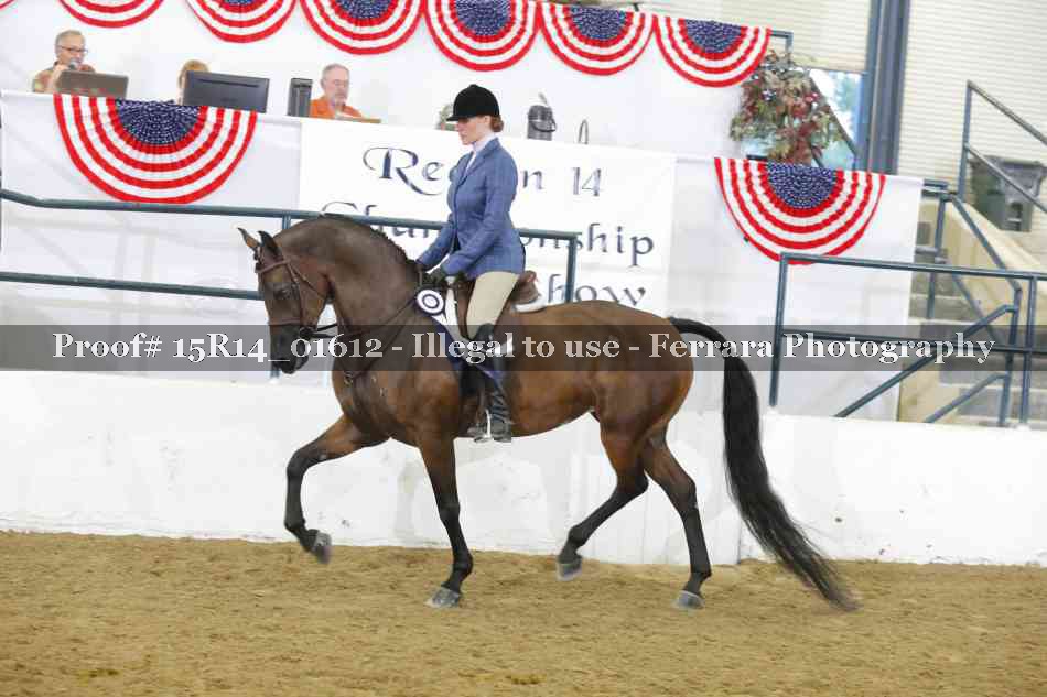 Proof Number 15R14_01612