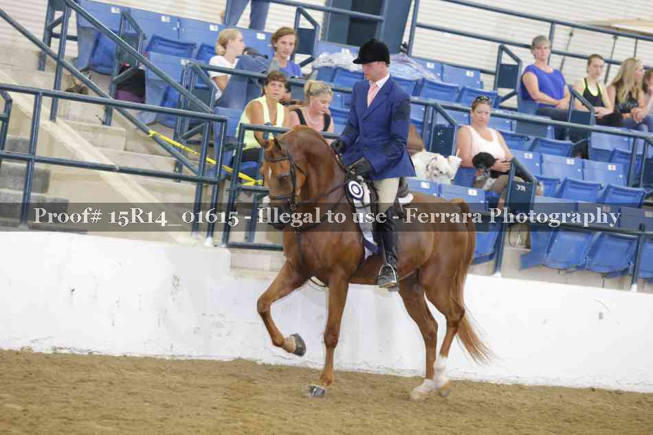 Proof Number 15R14_01615