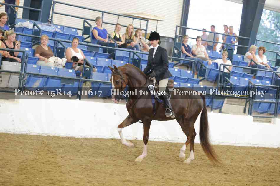 Proof Number 15R14_01617