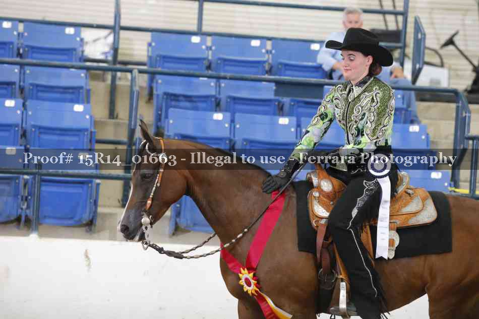 Proof Number 15R14_01663