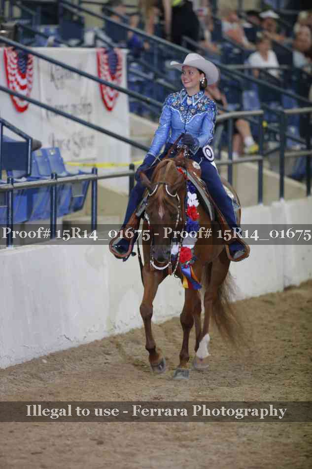 Proof Number 15R14_01675