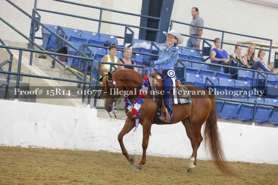 Proof Number 15R14_01677