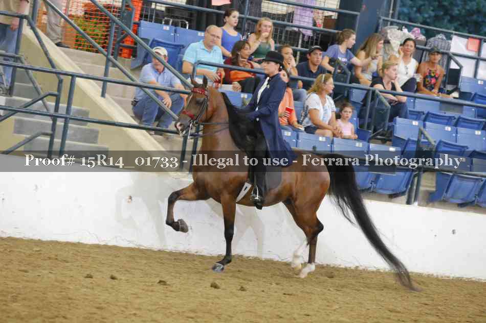 Proof Number 15R14_01733