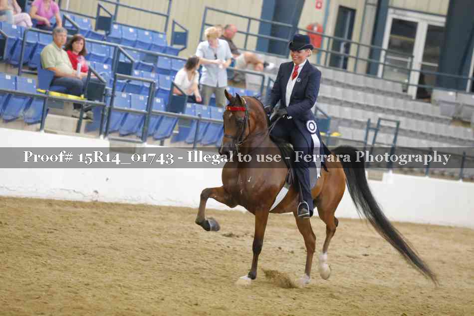 Proof Number 15R14_01743