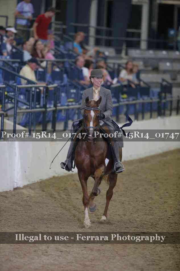 Proof Number 15R14_01747