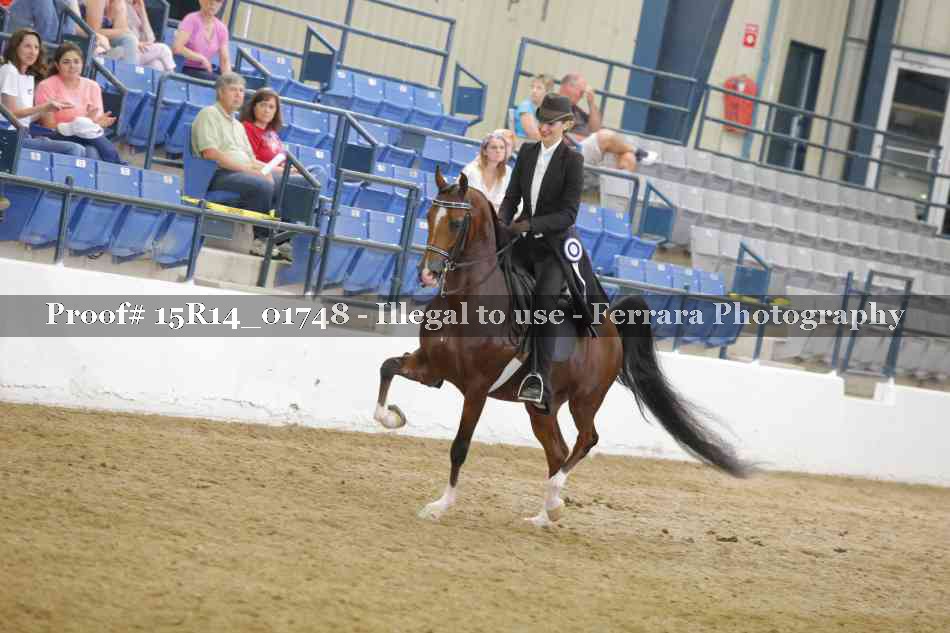 Proof Number 15R14_01748