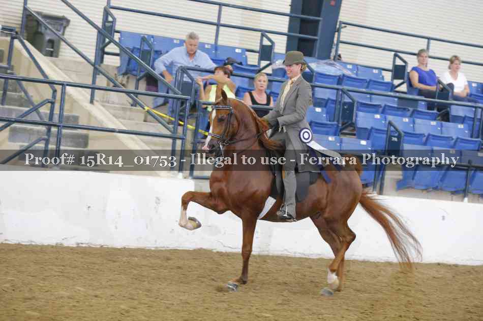 Proof Number 15R14_01753