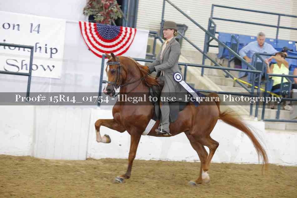 Proof Number 15R14_01754