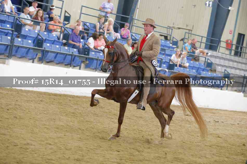 Proof Number 15R14_01755