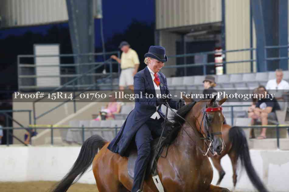 Proof Number 15R14_01760