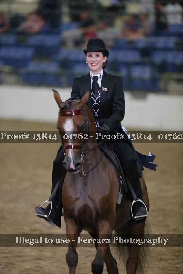 Proof Number 15R14_01762