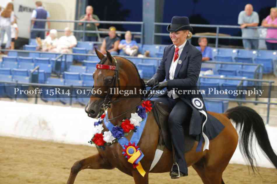 Proof Number 15R14_01766